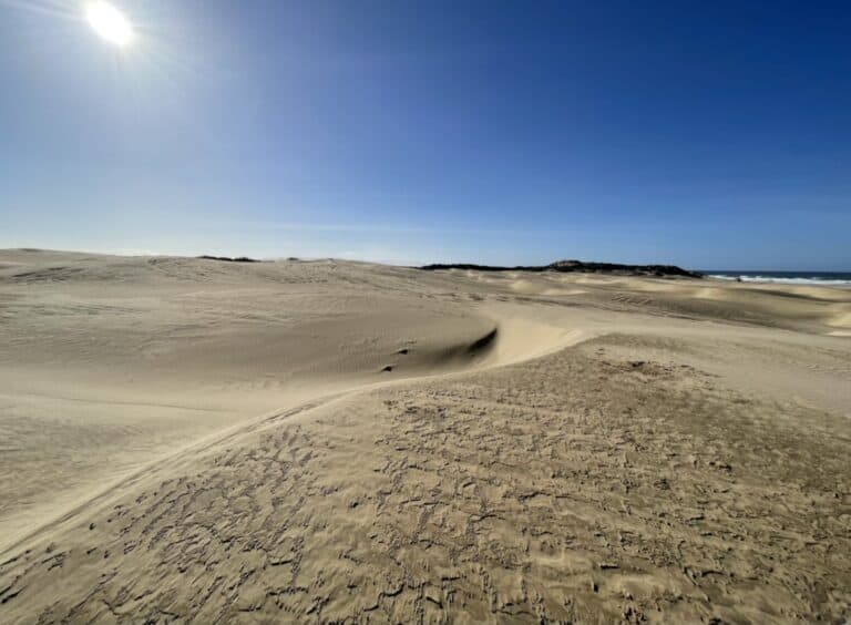 Oceano Sand Dunes