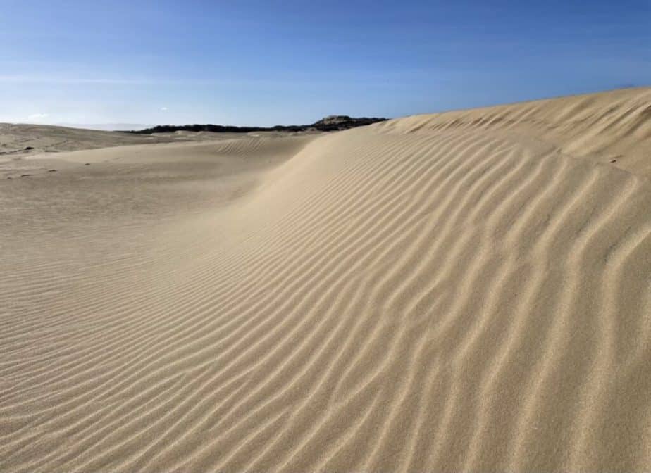 Oceano Dunes Pismo Beach, California