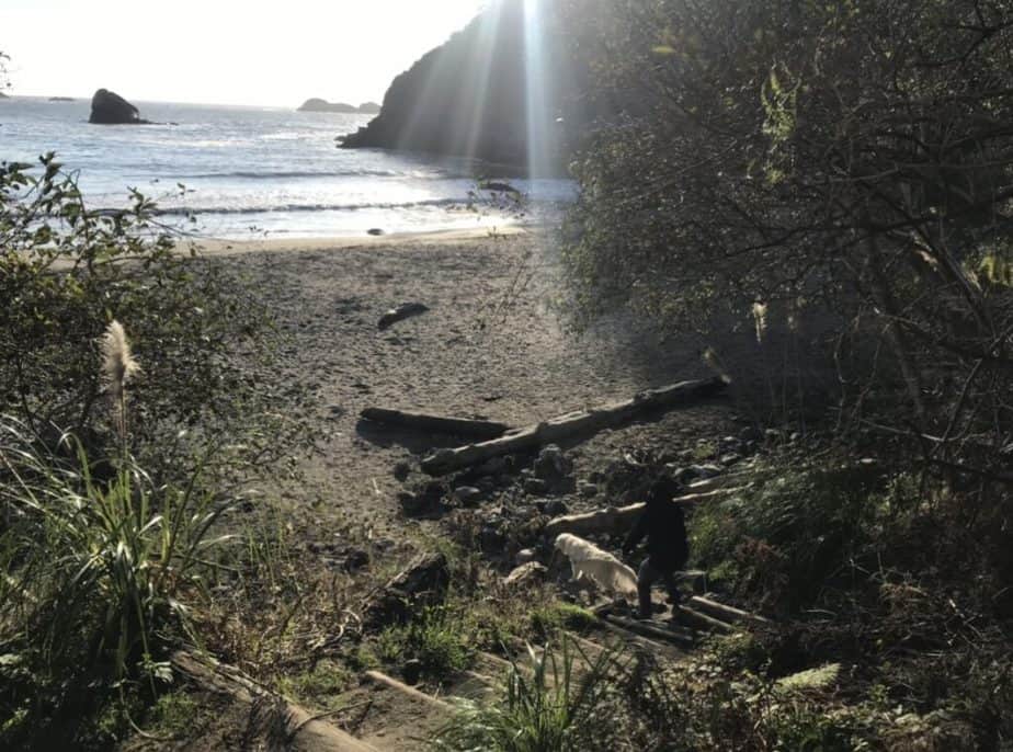 begin your southern oregon coast road trip at Trinadad State Beach, California