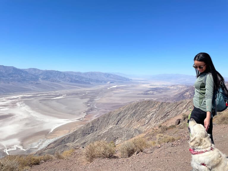 Dog friendly Dantes View death valley