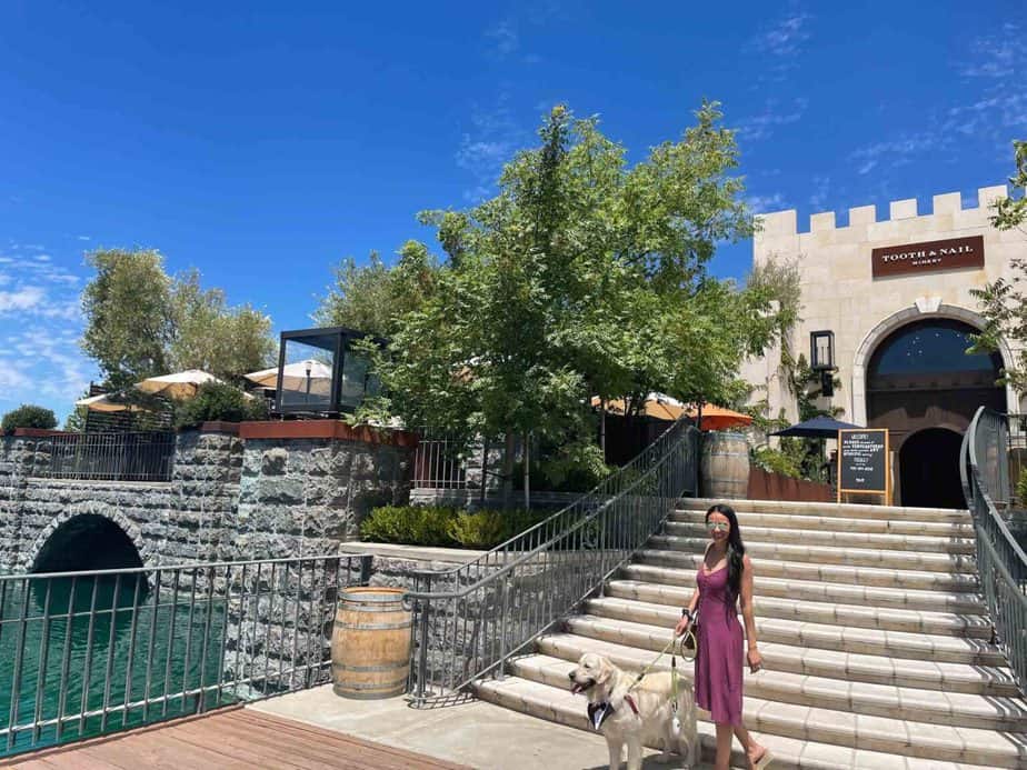 Best Dog Friendly Wineries Paso Robles: Ultimate Guide & Tips - TTWT