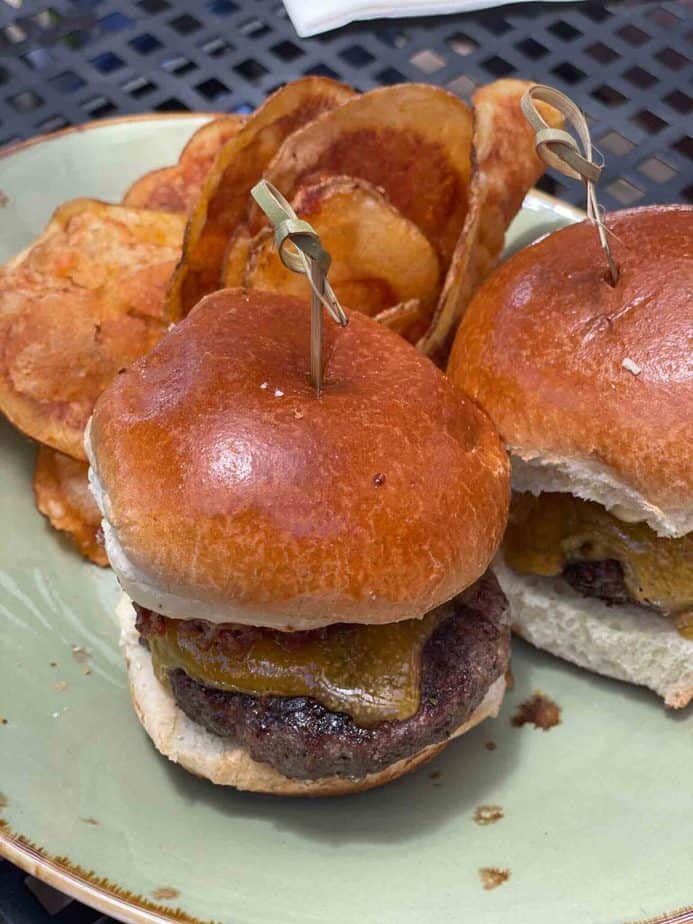 Best Dog Friendly Wineries Paso Robles Ultimate Guide & Tips TTWT