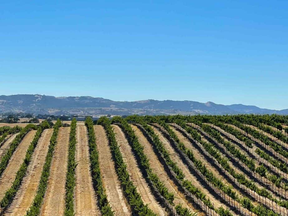 Paso Robles Itinerary