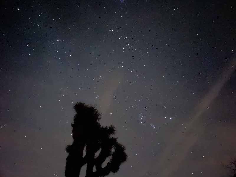 stargazing at Joshua Tree National Park