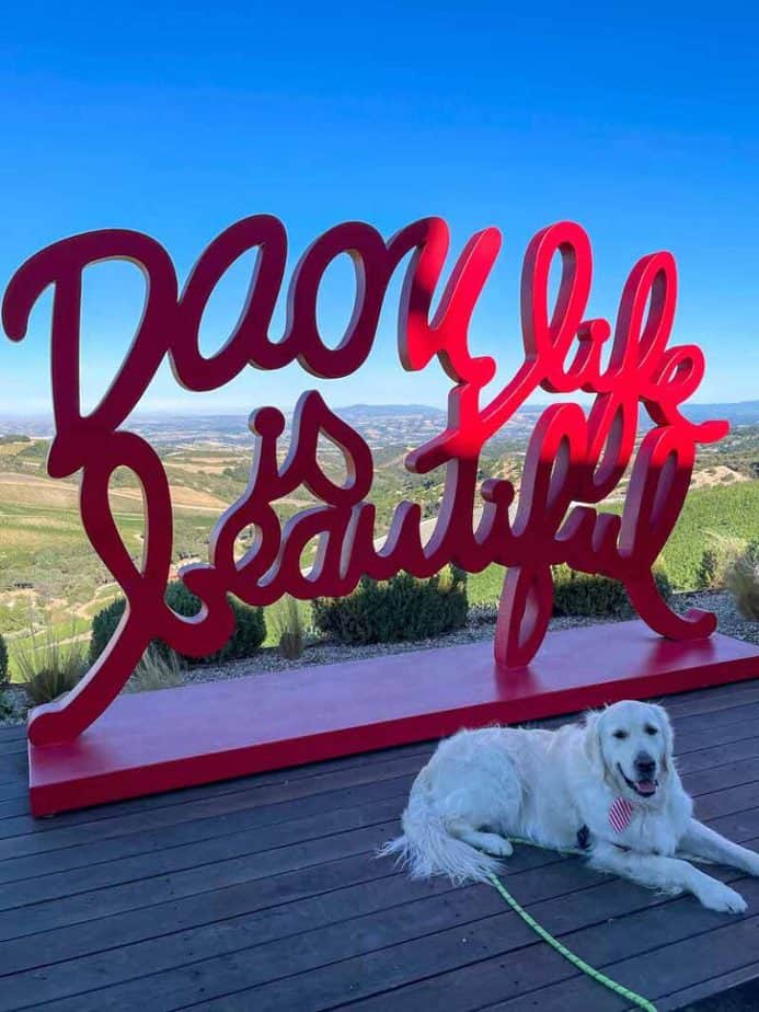dog friendly wine tasting at daou winery