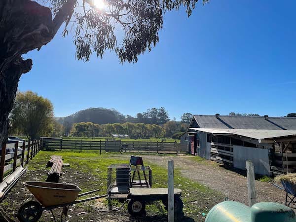 best thing to do in pescadero, visit the local dairy farm