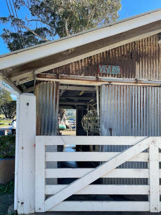 visit the goats at harley farms 