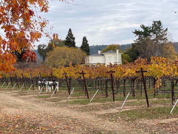 One of the best things to do in California in October is wine tasting in Napa Valley