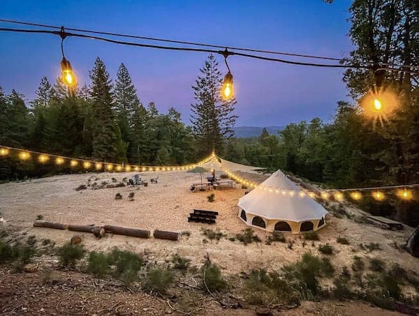 10 Best Pet Friendly Glamping Sites