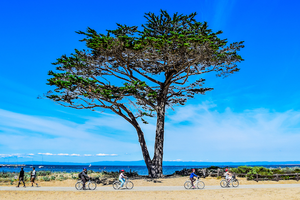 rent a bike or e-bike together for the monterey bay coastal trail