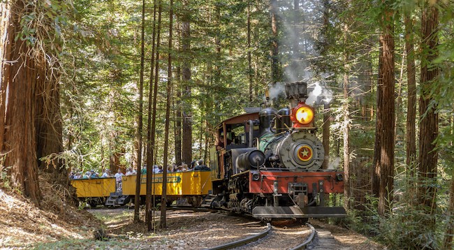 roaring camp railroads, a top thing to do with dogs in Santa Cruz