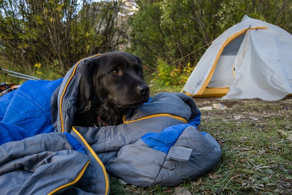 a dog sleeping bag is the perfect item to pack for you dog to sleep on in a tent. 