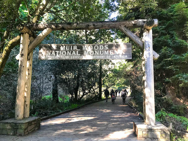 best way to get to muir woods from san francisco