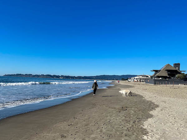 dog friendly stinson beach