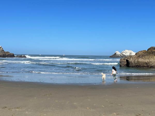 Dog friendly Ocean Beach in San Francisco
