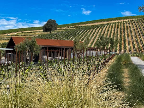 Gorgeous Booker Vineyards in Paso Robles