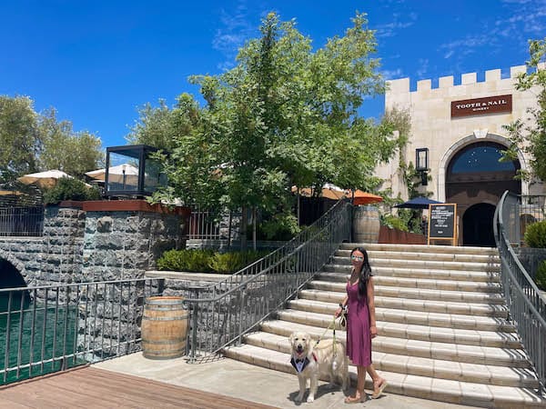 dog friendly wineries in Paso Robles