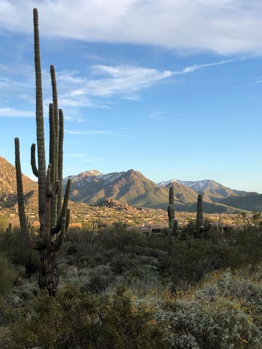 gorgeous views in scottsdale, AZ