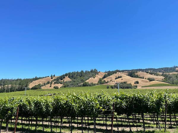 vineyards in mendocino