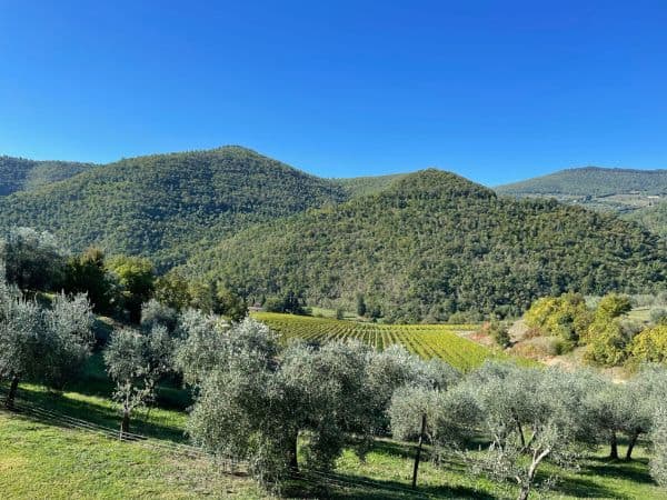 Tuscany is worth visit just for the breathtaking view of its countryside.